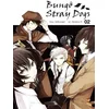 Image de Bungo stray dogs - Tome 02