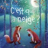 Image de C'est quoi, la neige ?