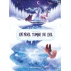Image de Un noël tombé du ciel
