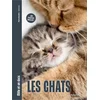 Image de Les chats - mille et un docs