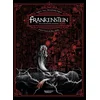 Image de Frankenstein ou le prométhée moderne