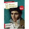 Image de La peau de chagrin (bac 2023, 1re générale)