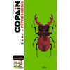 Image de Copain - copain des petites bêtes - dès 8 ans