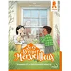 Image de Le grenier merveilleux, Tome 03