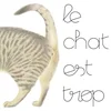 Image de Le chat est trop