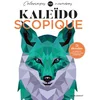 Image de Kaléïdoscopique