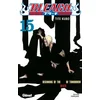 Image de Bleach - Tome 15