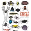 Image de Comment ratatiner les araignées ?