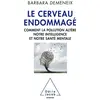 Image de Le cerveau endommagé