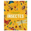 Image de Les insectes