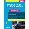 Image de Sous-officier de gendarmerie - tout-en-un
