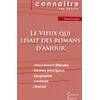 Image de Fiche de lecture le vieux qui lisait des romans d'amour (analyse littéraire de référence et résumé complet)