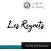 Image de Les regrets de joachim du bellay (fiche de lecture et analyse complète de l'oeuvre)