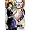 Image de Demon slayer - Tome 06