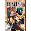 Image de Fairy Tail - Volume 12