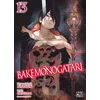 Image de Bakemonogatari - Tome 13
