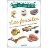 Image de Les fossiles