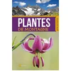Image de Plantes de montagne