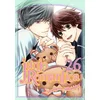 Image de Junjo romantica - Tome 26