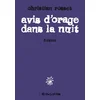 Image de Avis d'orage dans la nuit