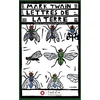 Image de Lettres de la terre