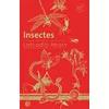 Image de Insectes