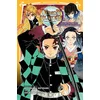 Image de Demon slayer - roman jeunesse - Tome 02 : les liens fraternels et les pourfendeurs de démons