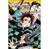 Image de Demon slayer - roman jeunesse - Tome 04