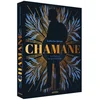 Image de Chamane - Tome 02 le maître de la confrérie
