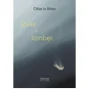 Image de Jouer à tomber