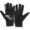 Image de Gants winter