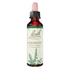 Image de Fleurs de Bach Original - Agrimony 20ml