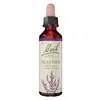 Image de Fleurs de Bach Original - Heather 20ml