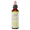 Image de Fleurs de Bach Original - Honeysuckle 20ml