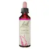 Image de Fleurs de Bach Original - Larch 20ml
