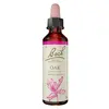 Image de Fleurs de Bach Original - Oak 20ml