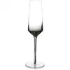Image de Lot de 2 verre à champagne noir en verre 23cl