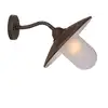 Image de Applique d'extérieur col de cygne métal et verre sablé H24cm