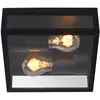 Image de Plafonnier d'extérieur verre 2 lumières l22cm noir