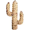 Image de Cactus en jacinthe d'eau tressée H45cm