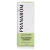 Image de Pranarom Huile Essentielle Eucalyptus Citronné 10ml