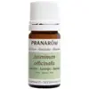 Image de Pranarom Huile Essentielle Jasmin Absolue 5ml