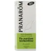 Image de Pranarom Huile Essentielle Pin Maritime Térébenthine Bio 10ml