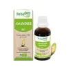 Image de Herbalgem Macérat Concentré Amandier Bio 30ml
