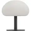Image de Lampe à poser d'extérieur métal D20cm