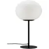 Image de Lampe à poser en métal noir et verre