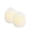 Image de Lot de 2 pomme de pin led h 10cm blanche