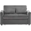 Image de Canapé convertible 2 places en velours gris dossier inclinable