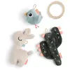 Image de Coffret naissance jeux d'éveil multicolore