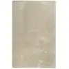 Image de Tapis poils longs tufté beige doux 290x200
